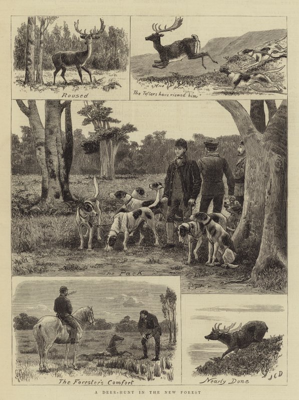 En rådyrjakt i den nye skogen av John Charles Dollman
