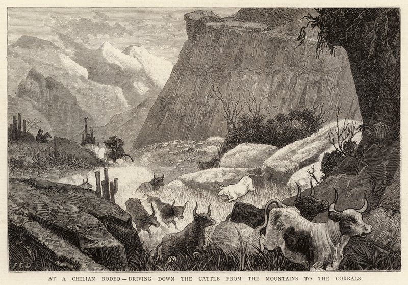 På en chilensk Rodeo, kjører ned storfe fra fjellene til innhegningene av John Charles Dollman