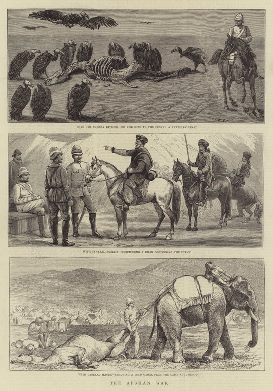 Den afghanske krigen av John Charles Dollman