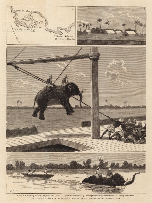 Den belgiske afrikanske ekspedisjonen, går av elefanter ved Msasani Bay av John Charles Dollman