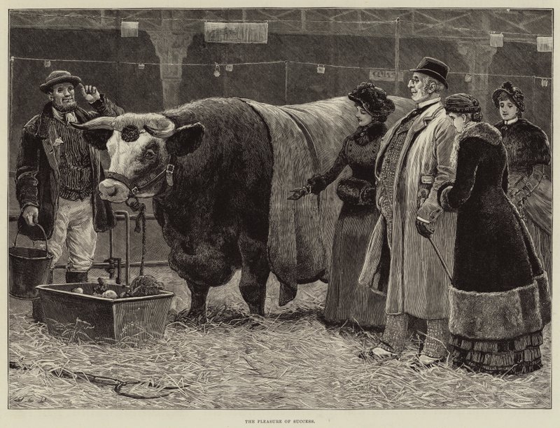 Gleden ved å lykkes av John Charles Dollman