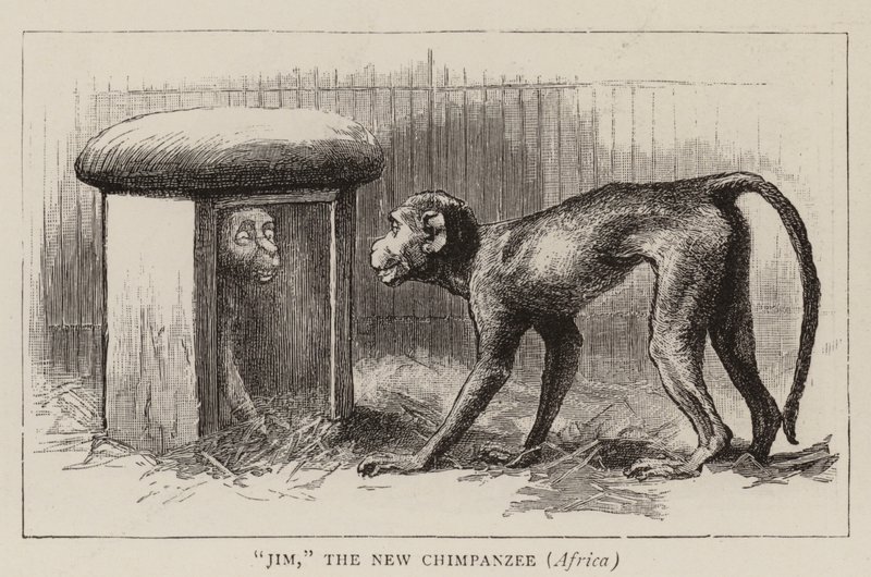 Vandring i dyrehagen av John Charles Dollman