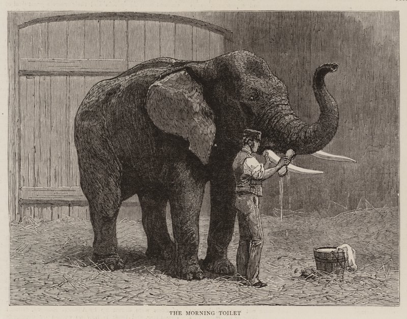 Vandring i dyrehagen av John Charles Dollman