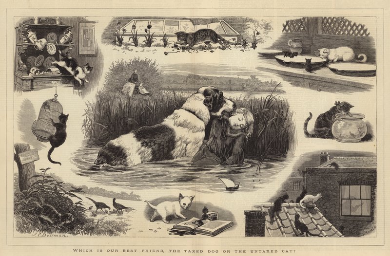 Hvilken er vår beste venn, den skattede hunden eller den uskattede katten av John Charles Dollman