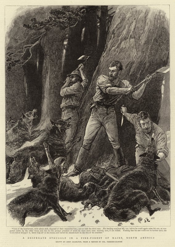 En desperat kamp i en furuskog i Maine, Nord-Amerika av John Charlton