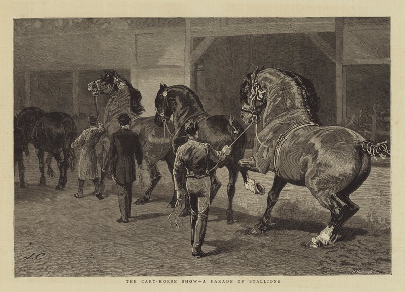 The Cart-Horse Show, en parade av hingster av John Charlton