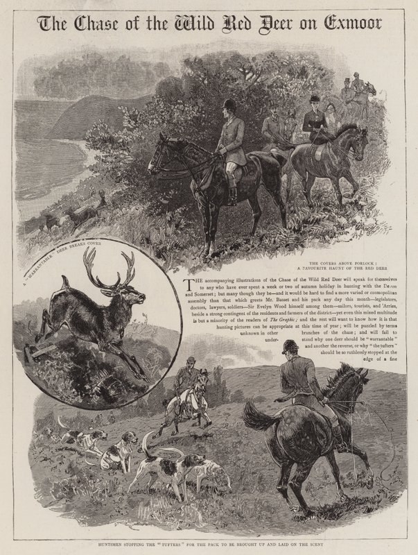 Chase of the Wild Red Deer på Exmoor av John Charlton