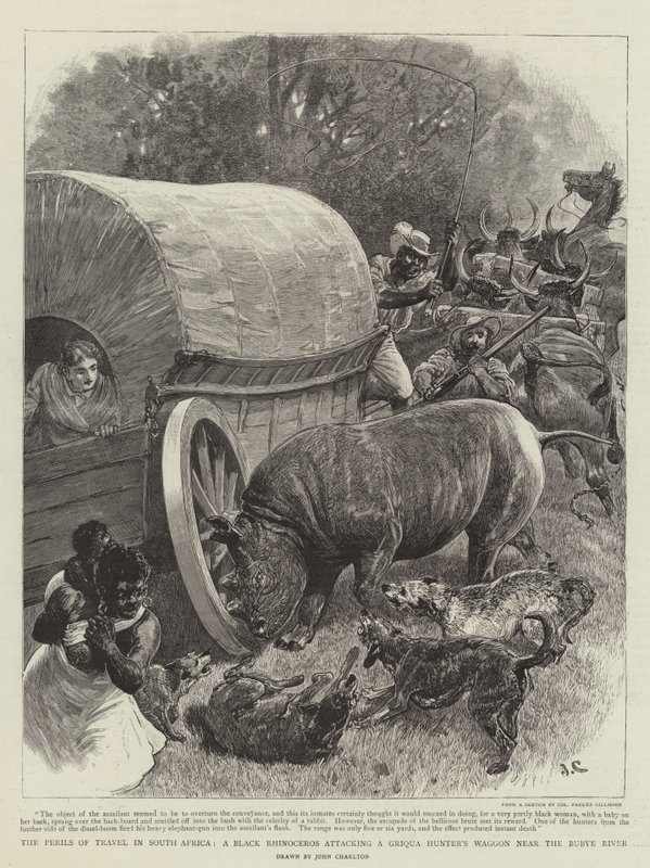 The Perils of Travel in South Africa, et svart neshorn som angriper en Griqua Hunter's Waggon nær Bubye-elven av John Charlton