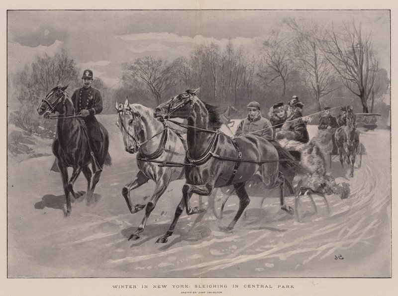 Vinter i New York, aking i Central Park av John Charlton