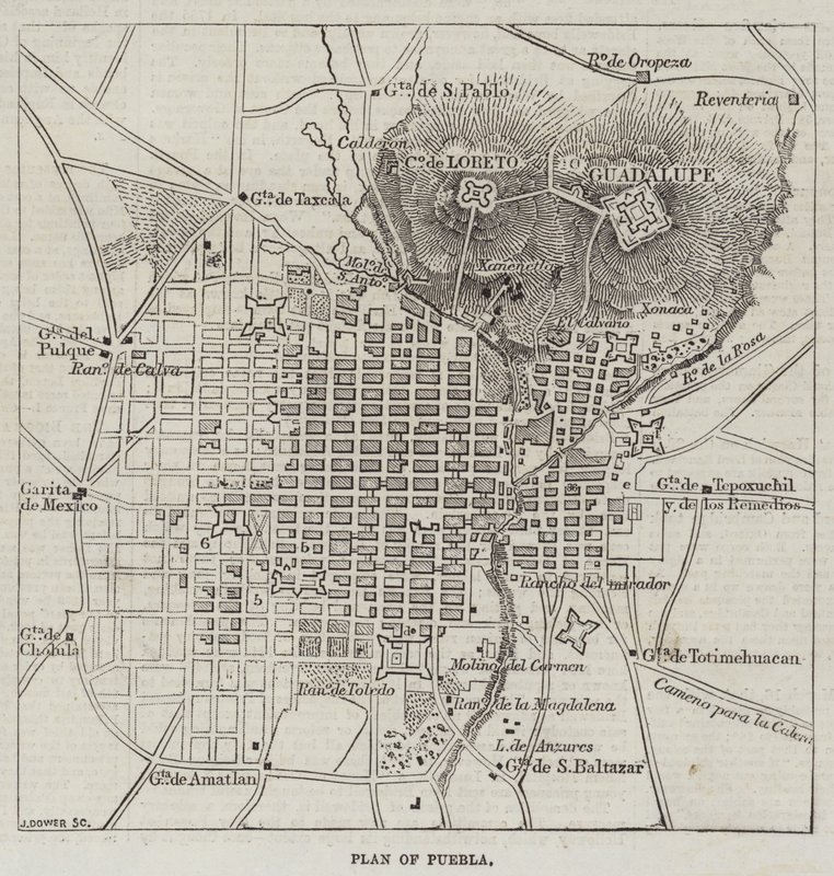 Plan for Puebla av John Dower