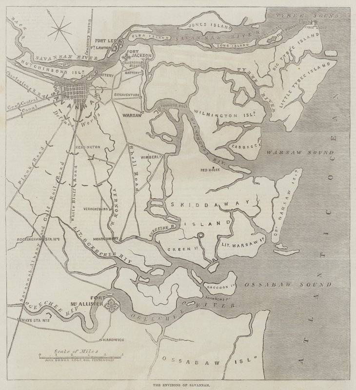 Omgivelsene til Savannah av John Dower
