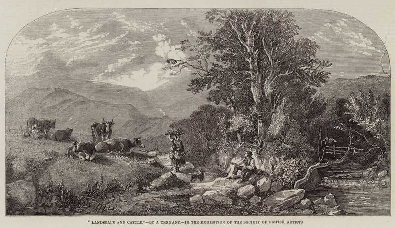 Landskap og storfe av John F. Tennant