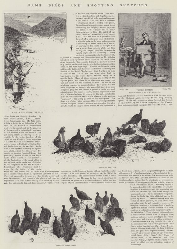 Spill Fugler og skyteskisser av John Guille Millais