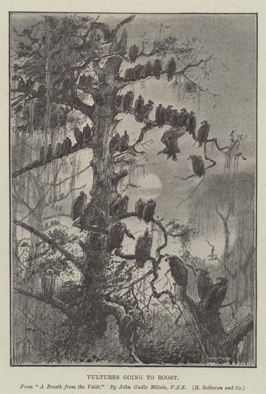 Gribber skal til Roost av John Guille Millais