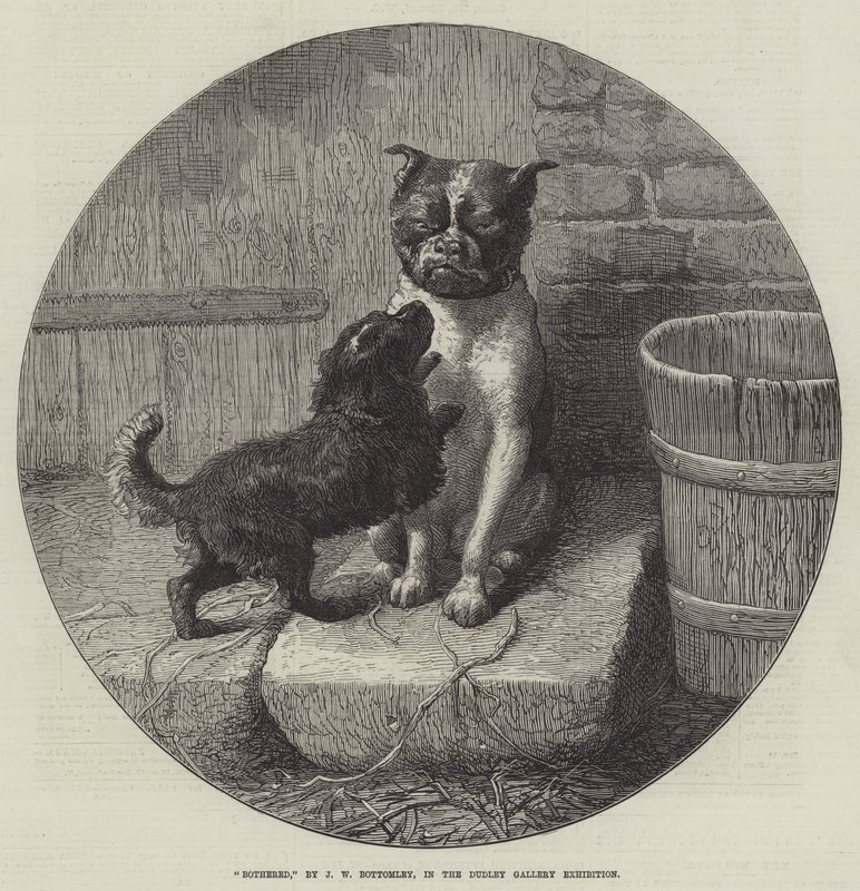Plaget av John William Bottomley