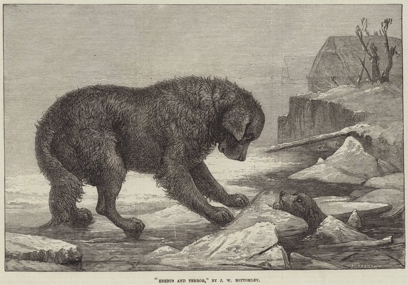 Erebus og terror av John William Bottomley