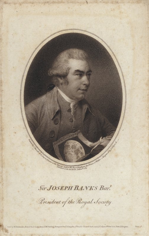 Sir Joseph Banks , engelsk naturforsker, botaniker og president for Royal Society (gravering) av John (after) Russell