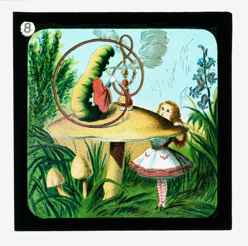 Alice i Eventyrland, fargede lanternelys (lanternelys) av John (after) Tenniel