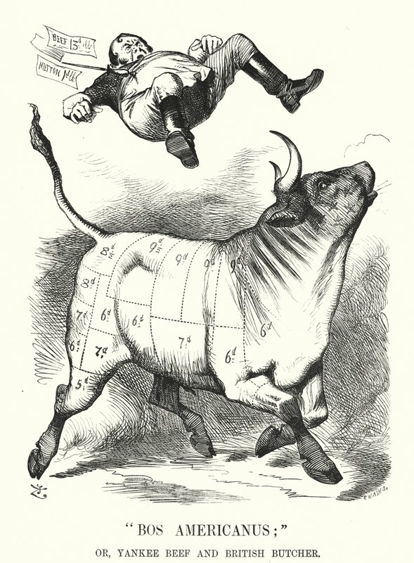 Punch tegneserie: Bos Americanus; eller, Yankee Beef og British Butcher - forventede fordeler for forbrukere ved å importere amerikansk kjøtt (gravering) av John (after) Tenniel