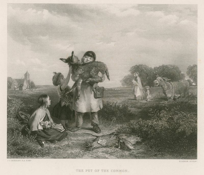 Allmenningens kjæledyr av John Callcott Horsley
