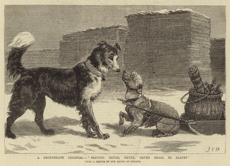 En degenerert kolonial, briter skal aldri, aldri, aldri være slaver av John Charles Dollman