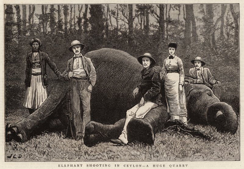 Elefantskyting i Ceylon, et stort steinbrudd av John Charles Dollman
