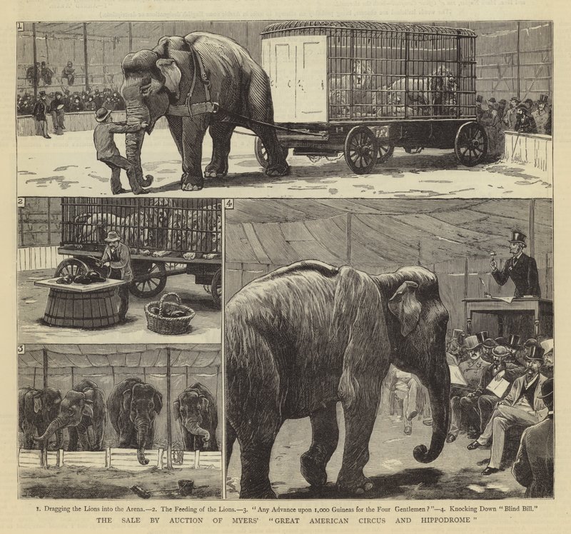 Salget på auksjon av Myers' Great American Circus and Hippodrome av John Charles Dollman