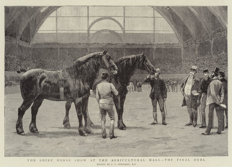 Shire Horse Show i Landbrukshallen, Finaleduellen av John Charles Dollman