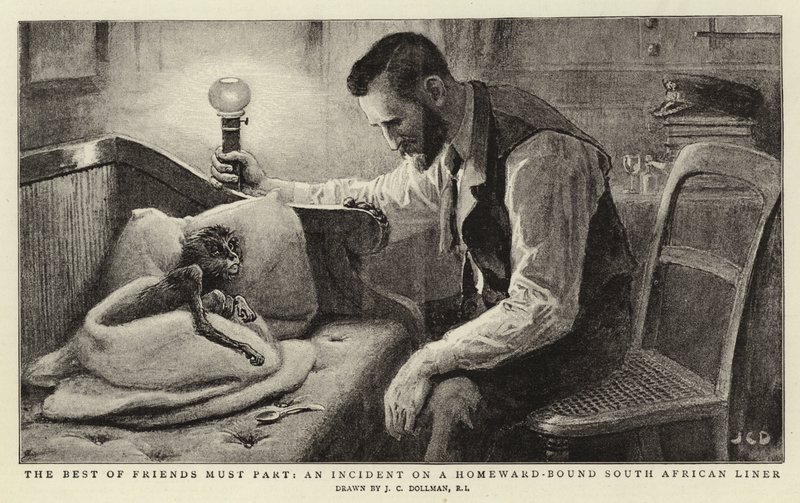 De beste vennene må skilles, en hendelse på en hjemgående sørafrikansk rutebåt av John Charles Dollman