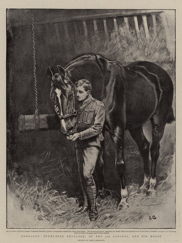 Kamerater, trompetist Shurlock, fra 5. Lancers, og hans hest av John Charlton