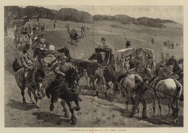 Goodwood, Hill in the Park av John Charlton