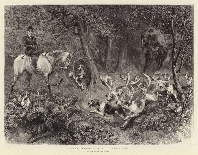 Hard Pressed, en Woodland Scene av John Charlton