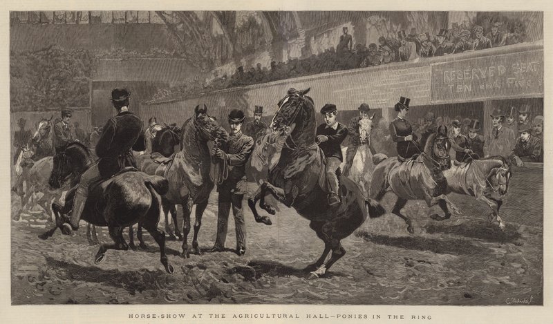 Horse-Show på Landbrukshallen, Ponnier i Ringen av John Charlton
