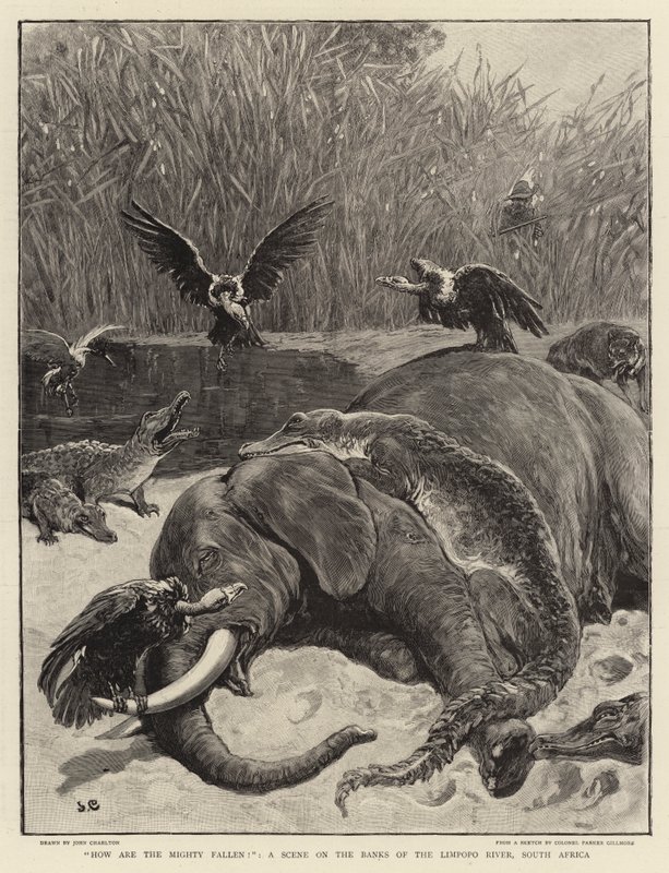 Hvordan er de mektige falt!, en scene på bredden av Limpopo-elven, Sør-Afrika av John Charlton