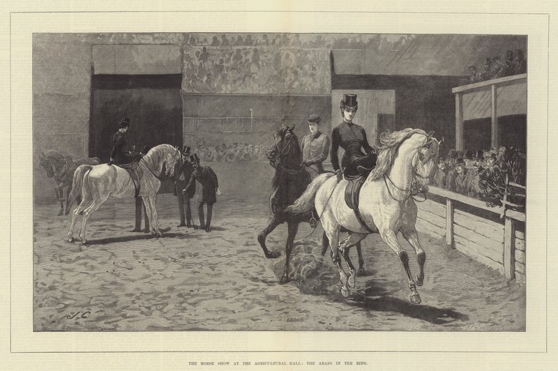 Hesteshowet på Landbrukshallen, Araberne i Ringen av John Charlton