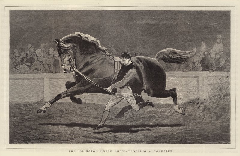 Islington Horse Show, traver en Roadster av John Charlton
