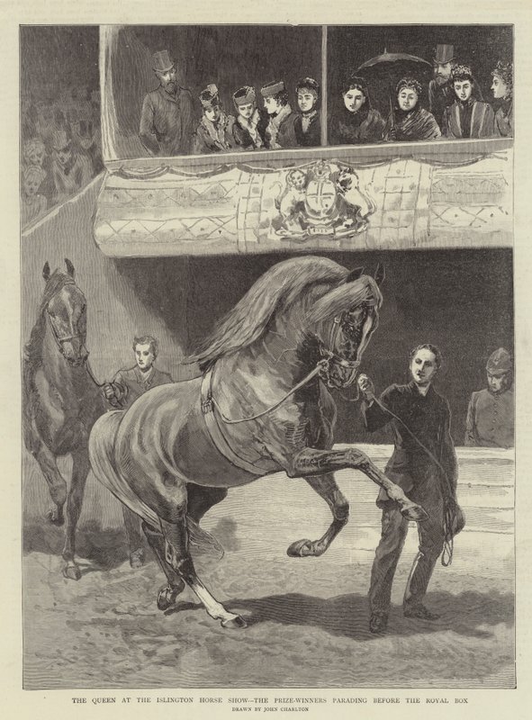 Dronningen på Islington Horse Show, prisvinnerne paraderer foran Royal Box av John Charlton