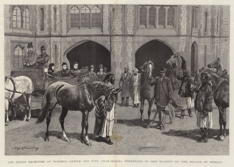 Dronningen mottok på Windsor Castle de fem arabiske hestene presentert for Hennes Majestet av Sultanen av Muscat av John Charlton