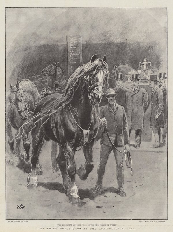 The Shire Horse Show på Landbrukshallen av John Charlton