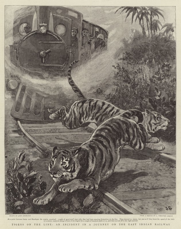 Tigers on the Line, en hendelse i en reise på den østindiske jernbanen av John Charlton
