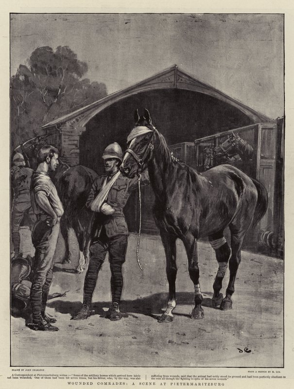 Sårede kamerater, en scene i Pietermaritzburg av John Charlton