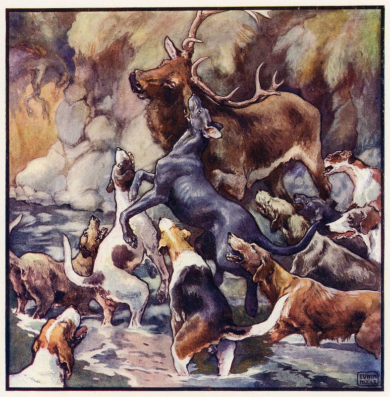 En enorm kamp finner sted, hele flokken er over ham (farge litho) av John Edwin Noble