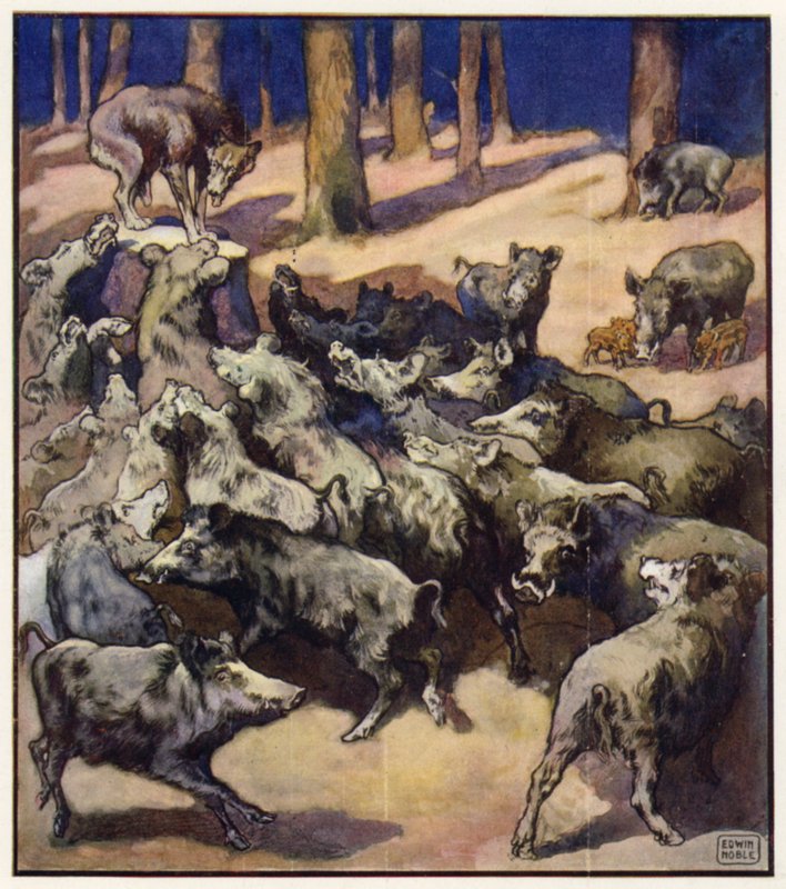 În mijlocul ciotului stătea un lup cenușiu mare (culoare litho) norvegian av John Edwin Noble