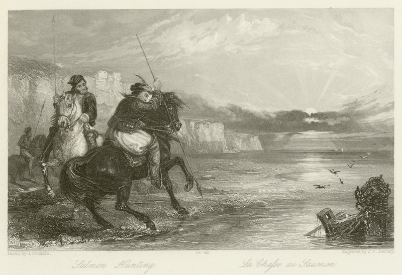 Laksejakt av John Franklin
