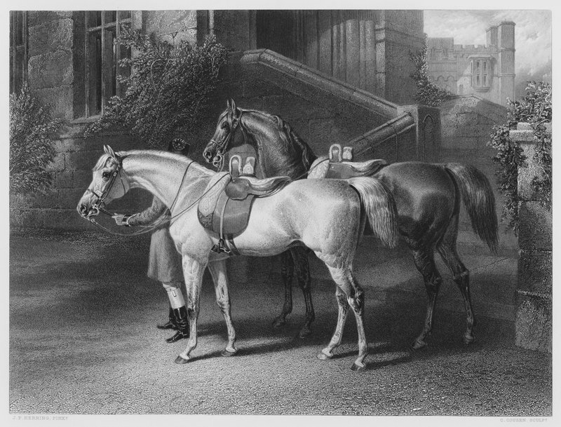 Dronningens hester, fra bildet i Royal Collection (gravering) av John Frederick Jr. Herring
