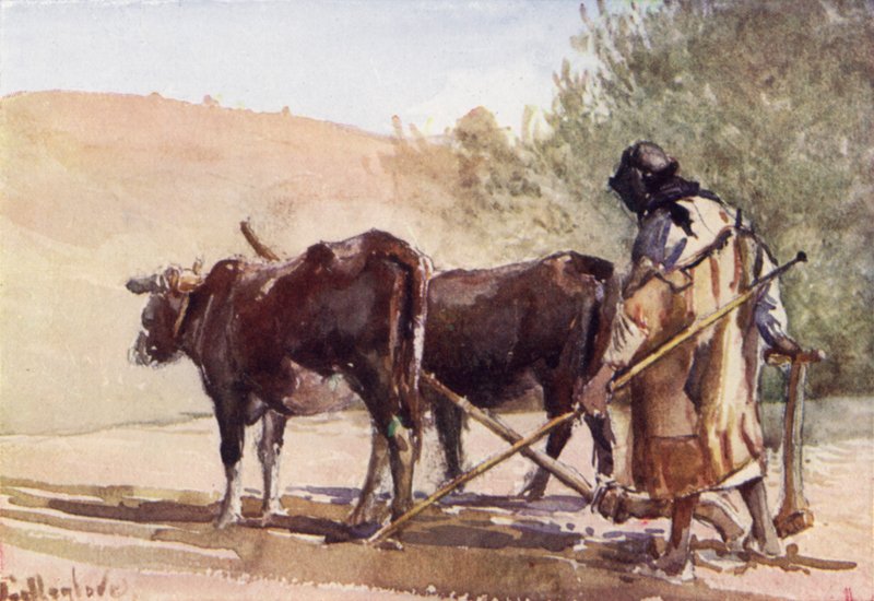 Pløying på Oljeberget (farge litho) av John Fulleylove