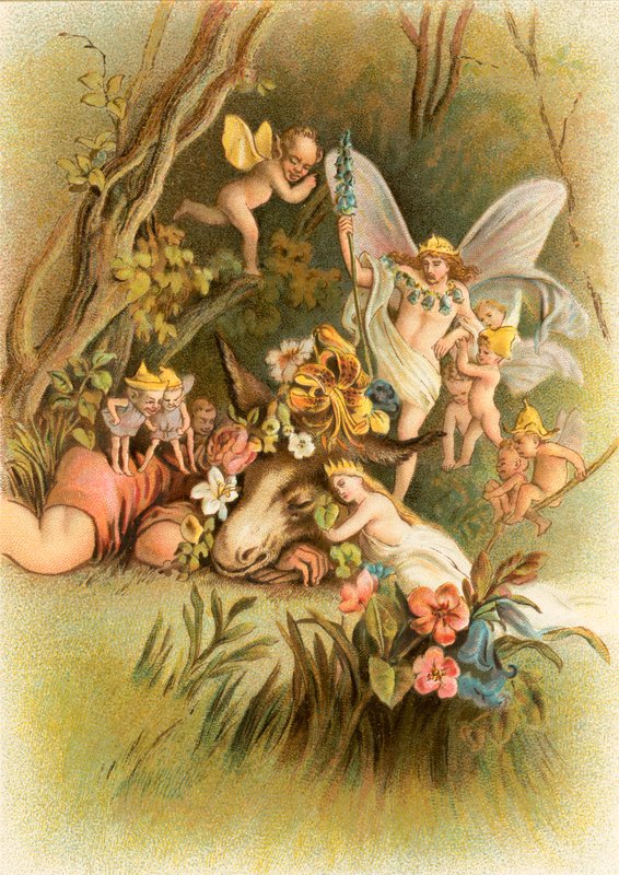 Midtsommernattens drøm av John Gilbert