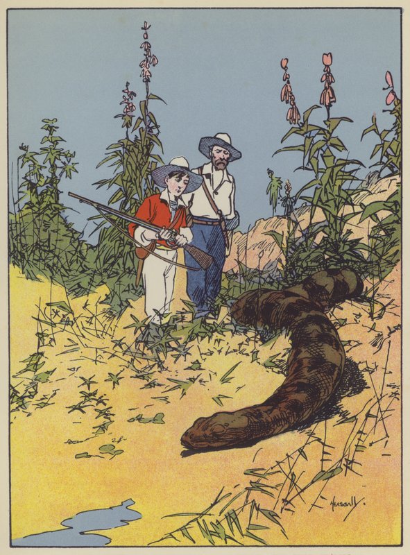 Illustrasjon for Swiss Family Robinson (farge litho) av John Hassall