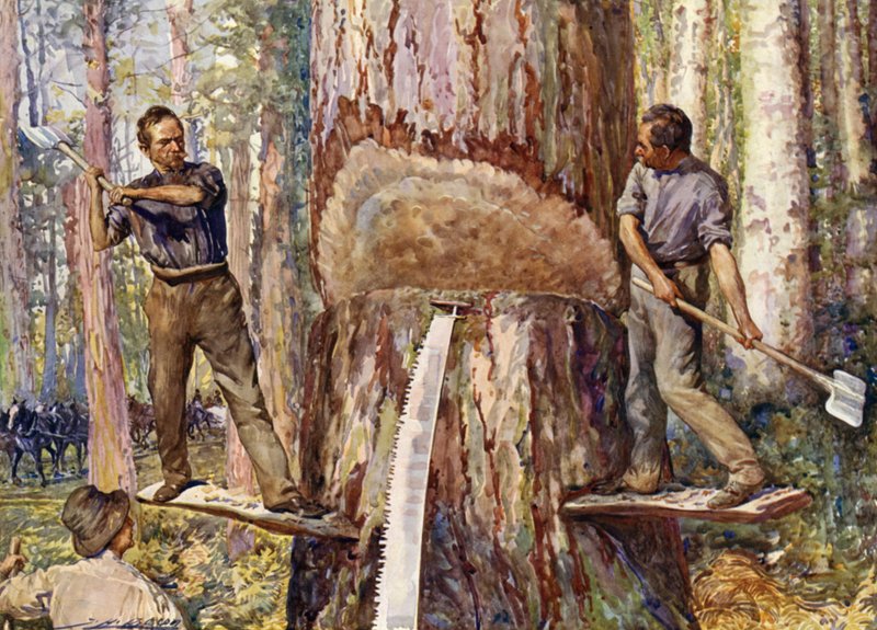 Tømmermenn som kutter tømmer (farge litho) av John Henry Frederick (after) Bacon