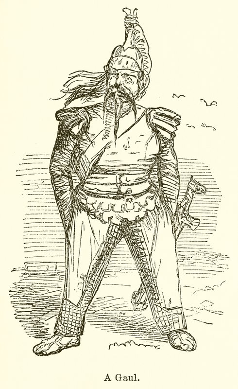 En galler av John Leech